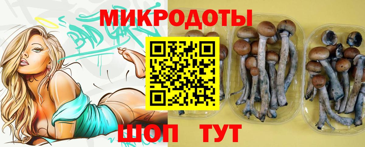 Псилоцибиновые грибы MAGIC MUSHROOMS Нижний Новгород